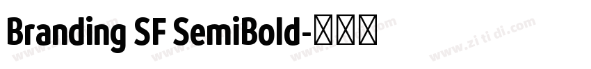 Branding SF SemiBold字体转换